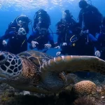 Pingtung Lambai Island | Ya Dive | Diving, PADI OW, or PADI AOW course