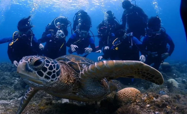 h8hgm3dsi9qpgx2ciomc