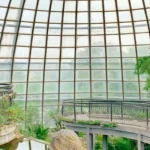 Chiayi University Insect Hall Tickets