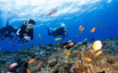 Discover scuba diving, Fun diving and Diving courses in Kenting