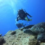 [Diving Certification] Blue Safari 4D3N PADI Open Water Diver Course in Green Island