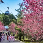 Formosan Aboriginal Culture Village Ticket