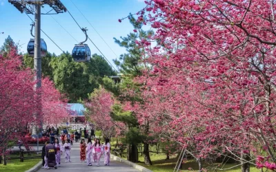 Formosan Aboriginal Culture Village Ticket