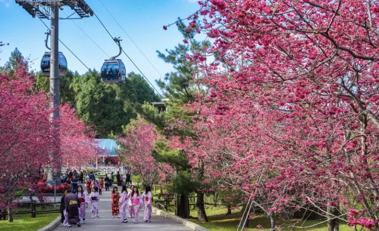 i5q9d9ic089sg4wktiwr