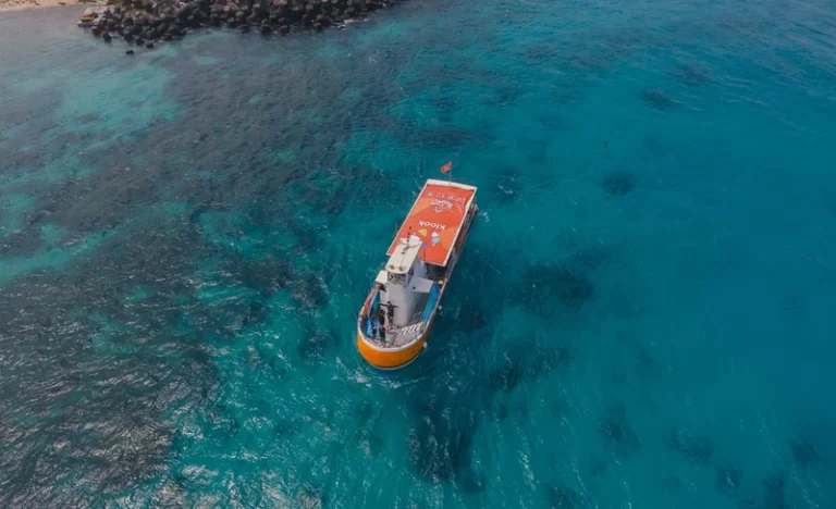 ipl1wgl08ropifs9teri