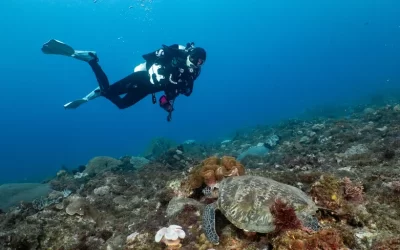 Blue Hole Dive Center Dive Course