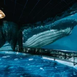 National Museum of Marine Biology and Aquarium Ticket