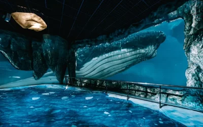 National Museum of Marine Biology and Aquarium Ticket