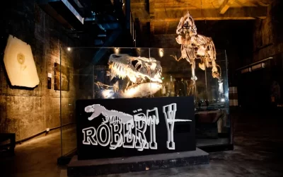Crazy Dream Art Park: Robert Y Museum Ticket