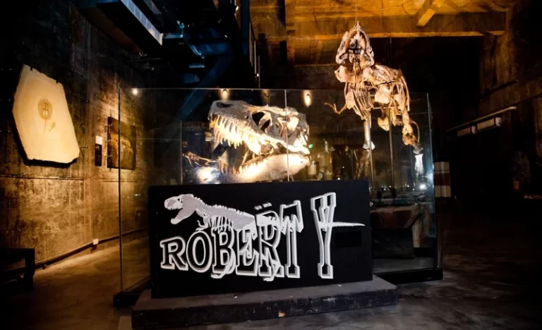 jc5uypobt4nxiamcpegq