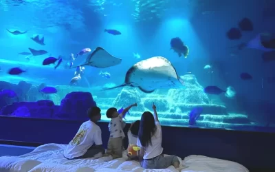 Farglory Oceanpark Sleepover Experience in Hualien
