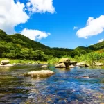 Shuangliu National Forest Recreation Area Tickets