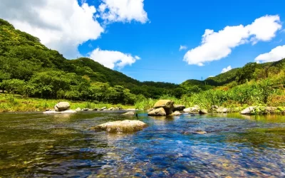 Shuangliu National Forest Recreation Area Tickets