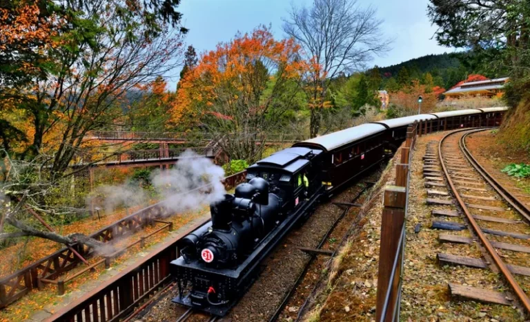 jxd7k5wsyex8xtlmpoc0