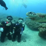 Bear Diving - Xiaoliuqiu PADI Open Water Diver Course