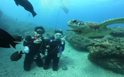 Bear Diving - Xiaoliuqiu PADI Open Water Diver Course