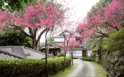 Beitou Museum Ticket in Taipei