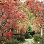 Tickets for Futianyuan Leisure Farm in Yangmingshan, Taipei