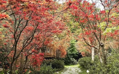 Tickets for Futianyuan Leisure Farm in Yangmingshan, Taipei