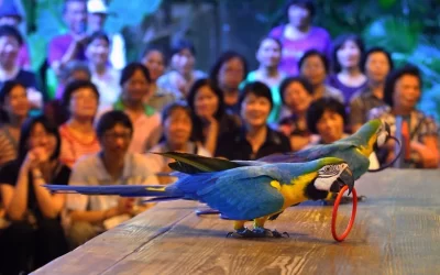 Green World Ecological Farm Ticket in Hsinchu
