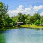 Taitung City Scenic Spots Guided Half-Day Tour