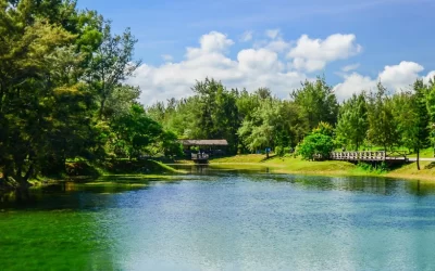 Taitung City Scenic Spots Guided Half-Day Tour