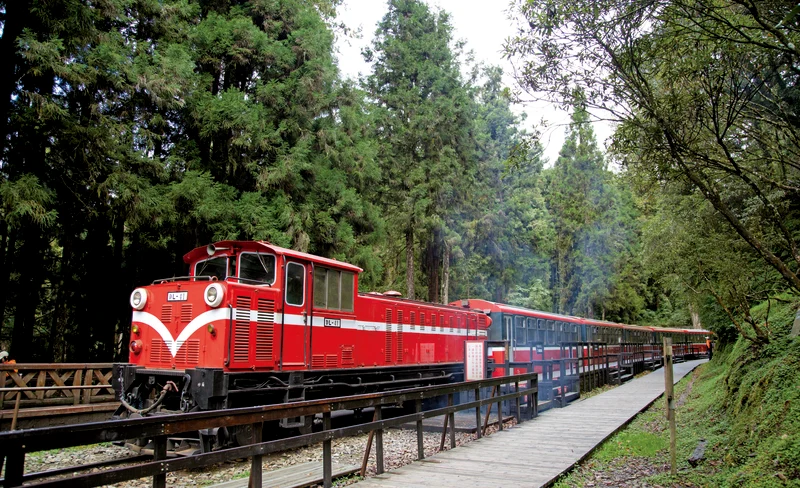 Meteor Garden Sightseeing Tour from Taipei