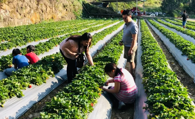 m5kyxemmmn760qfes7xd