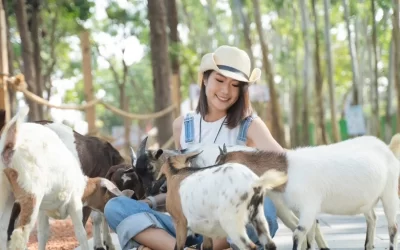 Tickets for Meimea Shangshu Cute Pet Paradise