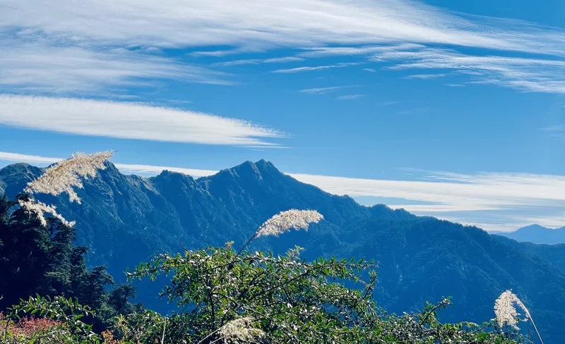 Nantou Taiyi Ecological Leisure Farm: Tickets and Fruit Picking Experience