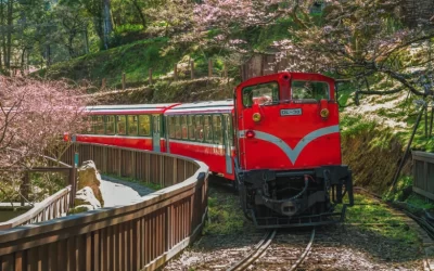 Chiayi Alishan 2-day tour (departing from Taipei, including cultural experience and attraction tickets)
