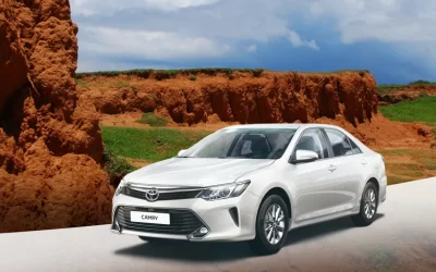 Kenting Car Rental with Driver : National Museum of Marine Biology and Aquarium , Eluanbi Lighthouse (departing from kaohsiung)