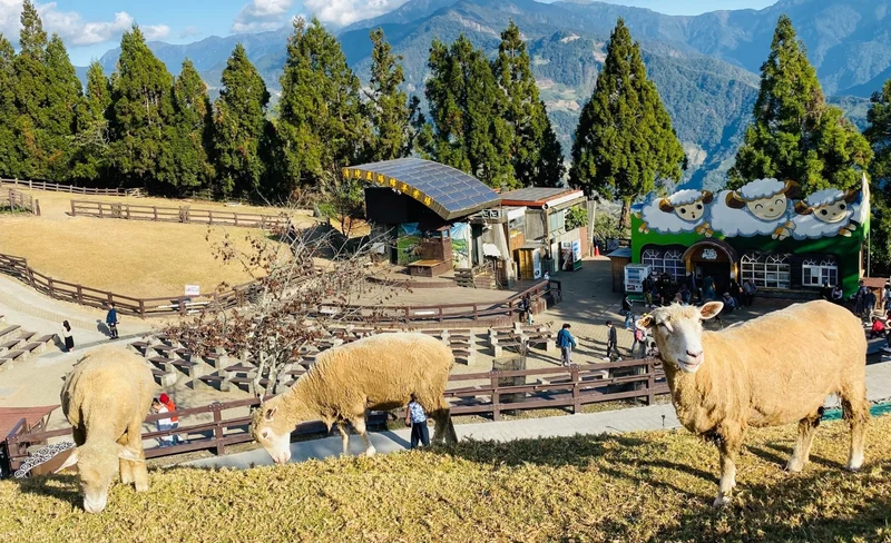 Sun Moon Lake Canoe Experience in Nantou