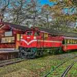 Alishan Private 2-Day Tour from Taipei