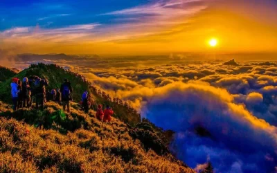 Hehuanshan Sunrise Tour or Half Day Tour from Qingjing