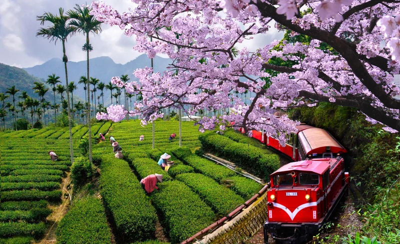 Meteor Garden Sightseeing Tour from Taipei
