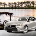 Tainan Car Rental with Driver : Chimei Museum from Kaohsiung