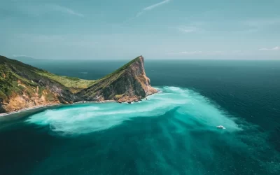Guishan Island Whale Watching & Zhangmei Farm & Kavalan Whiskey