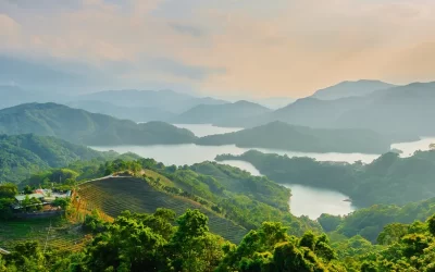 Shiding Tea Township Half-Day Tour from Taipei