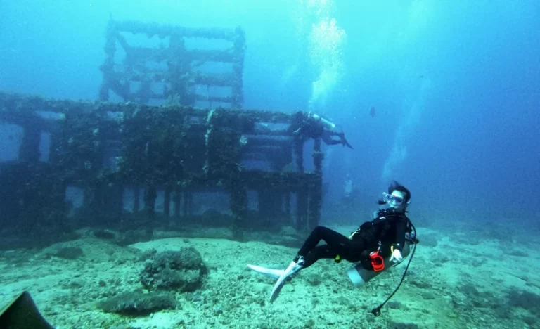 p8xdbeswxiu2hx1w2vot