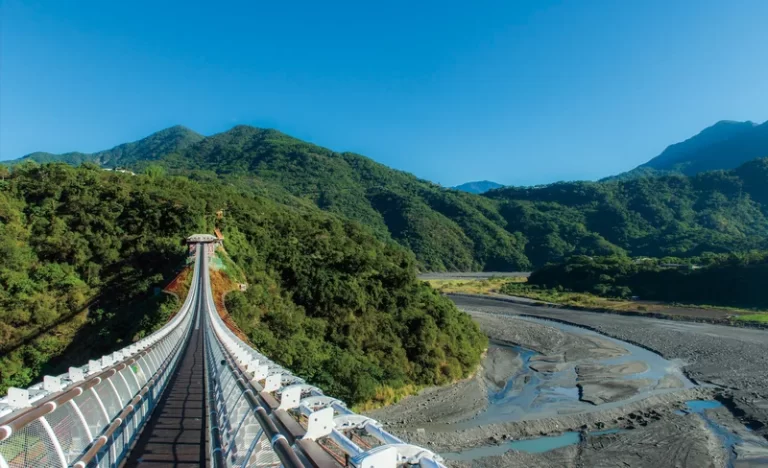 p9ajqirqflcnmuxcmgdc