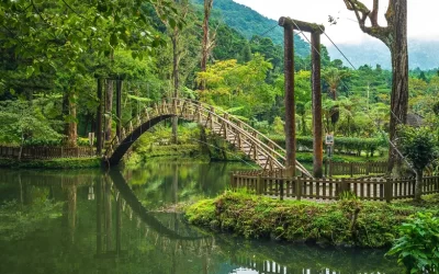 Nantou Xitou Forest Recreation Area Day Tour - Depart from Taichung