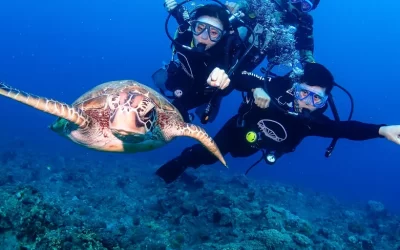 Xiaoliuqiu Liuqian - Scuba Diving Experience
