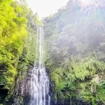 Yilan: Carpool One Day Tour - Zhangmei Grandma Farm & Qingshui Geothermal Park & Xingbao Onion Experience Farm (Depart from Taipei)