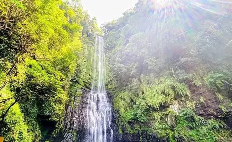 Sheng Yang Leisure Farm Ticket and DIY Experience in Yilan