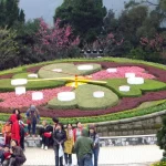 Beitou & Geothermal Valley & Yangmingshan & Yeliu One-day tour