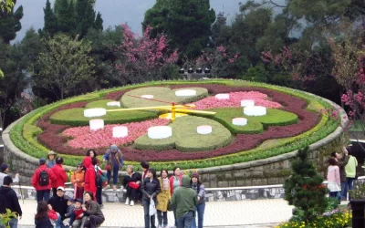 Beitou & Geothermal Valley & Yangmingshan & Yeliu One-day tour