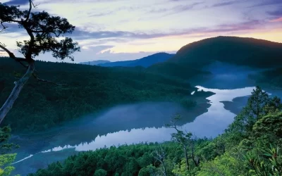 [2024 Huadong Revitalization] National Forest Recreation Area Package (Taipingshan, Chinan, Fuyuan, Zhiben)