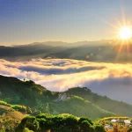 Chiayi Alishan & Nantou Sun Moon Lake 3-day tour (departing from Taipei, including sunrise train and Sun Moon Lake ferry tickets)