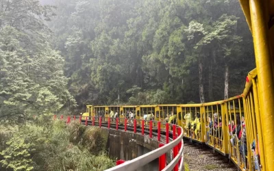 Taipingshan National Forest Recreation Area Day Tour in Yilan